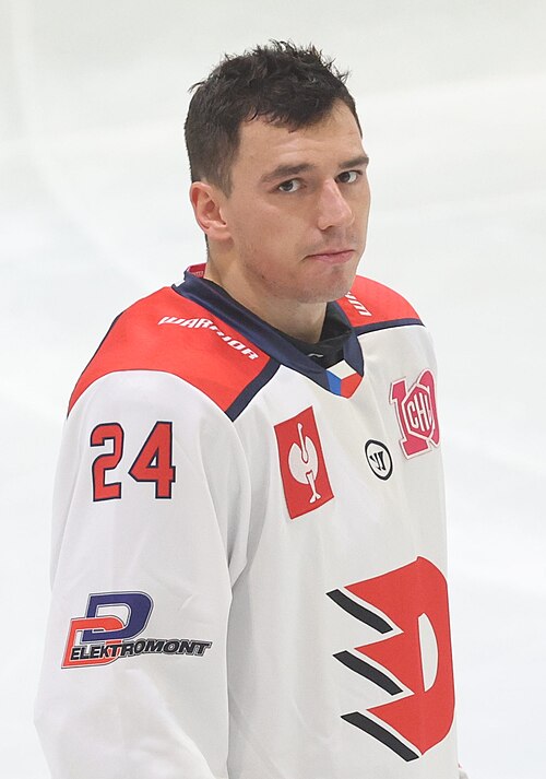 Либор Гайек