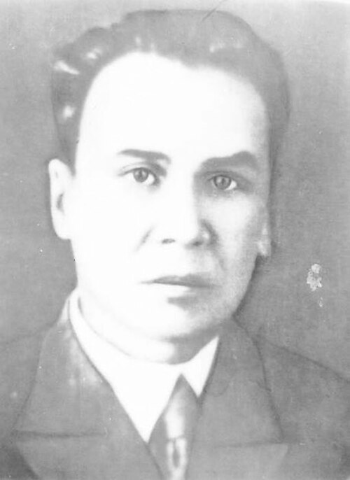 Михаил Кошкин